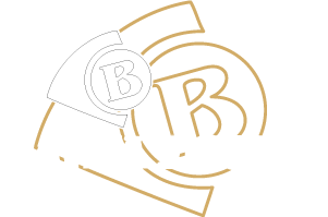 Bavka Tours logo