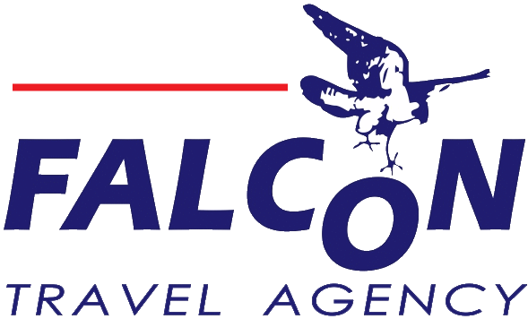 Falcon logo