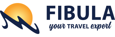 Fibula Air Travel logo