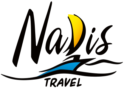 Navis logo